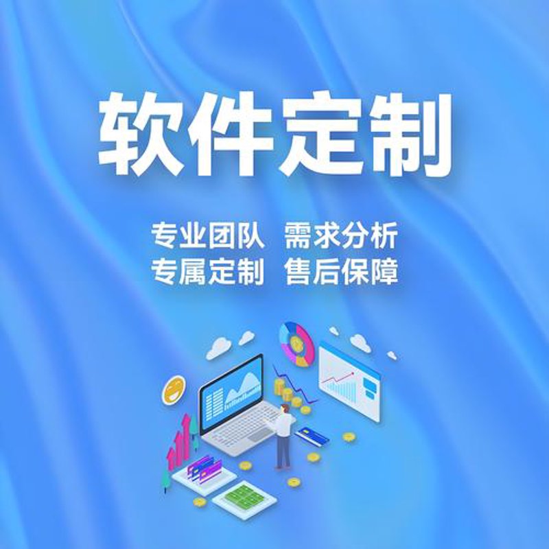 广东软件定制行业:紧跟需求趋势 迎接无限可能